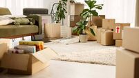 Room, boxes and moving in house, couch and investment of real estate, empty and shipping of luggage. Furniture, cardboard and ne