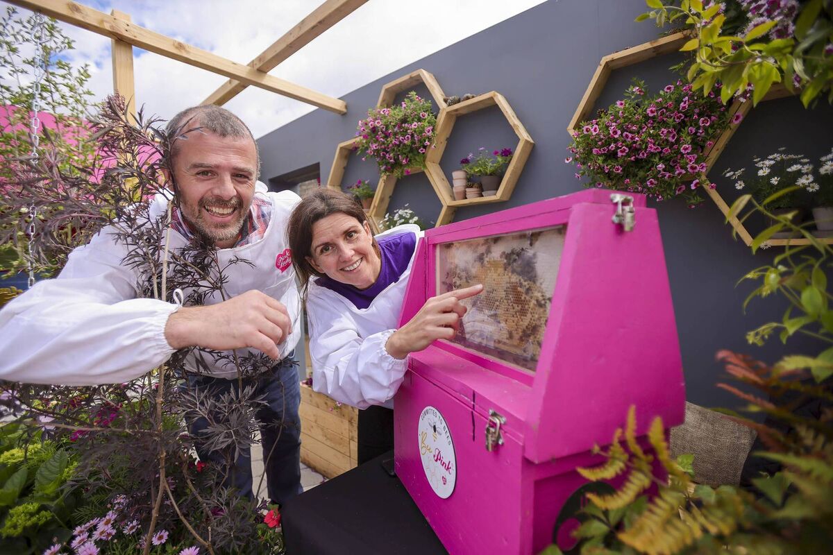 Julie Sebode and Eddie Lloyd, Federation of Irish Beekeepers, at the Pink Lady Balcony, at Bord Bia Bloom 2025.Picture: Chris Bellew/Fennells Julie Sebode and Eddie Lloyd, Federation of Irish Beekeepers, at the Pink Lady Balcony, at Bord Bia Bloom 2025.Picture: Chris Bellew/Fennells