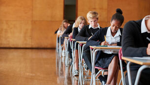 <p>Almost one in four Leaving Cert students did not sit an Irish exam last year as exemptions for the subject hit a record high.</p> <p>Almost one in four Leaving Cert students did not sit an Irish exam last year as exemptions for the subject hit a record high.</p>