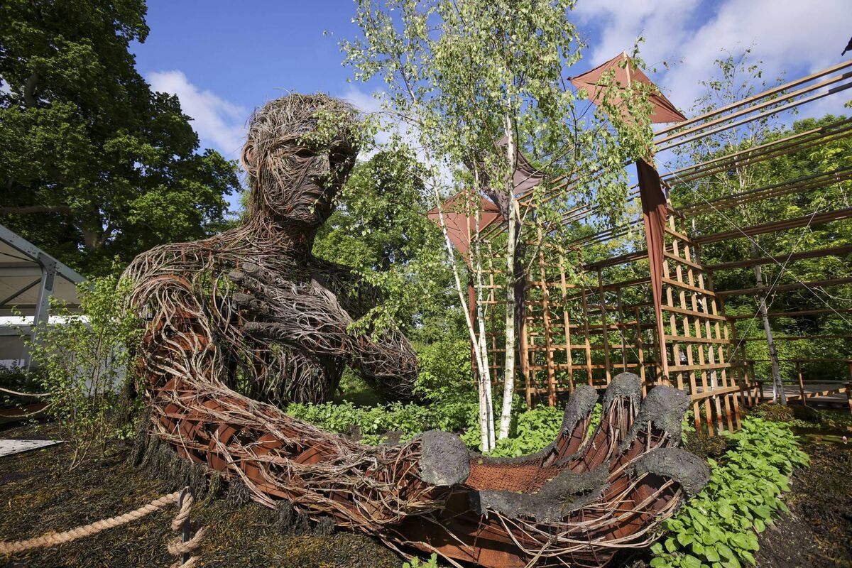 Nature's Symphony: Celebrating Organic Growth by Oliver and Liat Schurmann, sponsored by Bord Bia and the Department of Agriculture, Food and the Marine, at Bloom 2025. Picture: Fennells Nature's Symphony: Celebrating Organic Growth by Oliver and Liat Schurmann, sponsored by Bord Bia and the Department of Agriculture, Food and the Marine, at Bloom 2025. Picture: Fennells