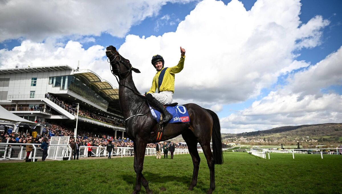 Jockey Michael O'Sullivan celebrates on Marine Nationale at Cheltenham in 2023. Picture: Harry Murphy/Sportsfile Jockey Michael O'Sullivan celebrates on Marine Nationale at Cheltenham in 2023. Picture: Harry Murphy/Sportsfile