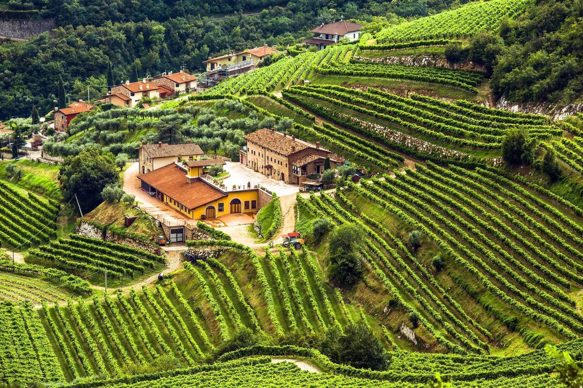 The Valpolicella Hills of Veneto offer perfect day trips to the local wineries The Valpolicella Hills of Veneto offer perfect day trips to the local wineries