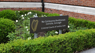 <p> Accused was remanded in custody for four weeks. Picture: Dan Linehan</p>