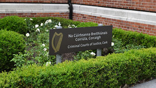 <p> Accused was remanded in custody for four weeks. Picture: Dan Linehan</p>