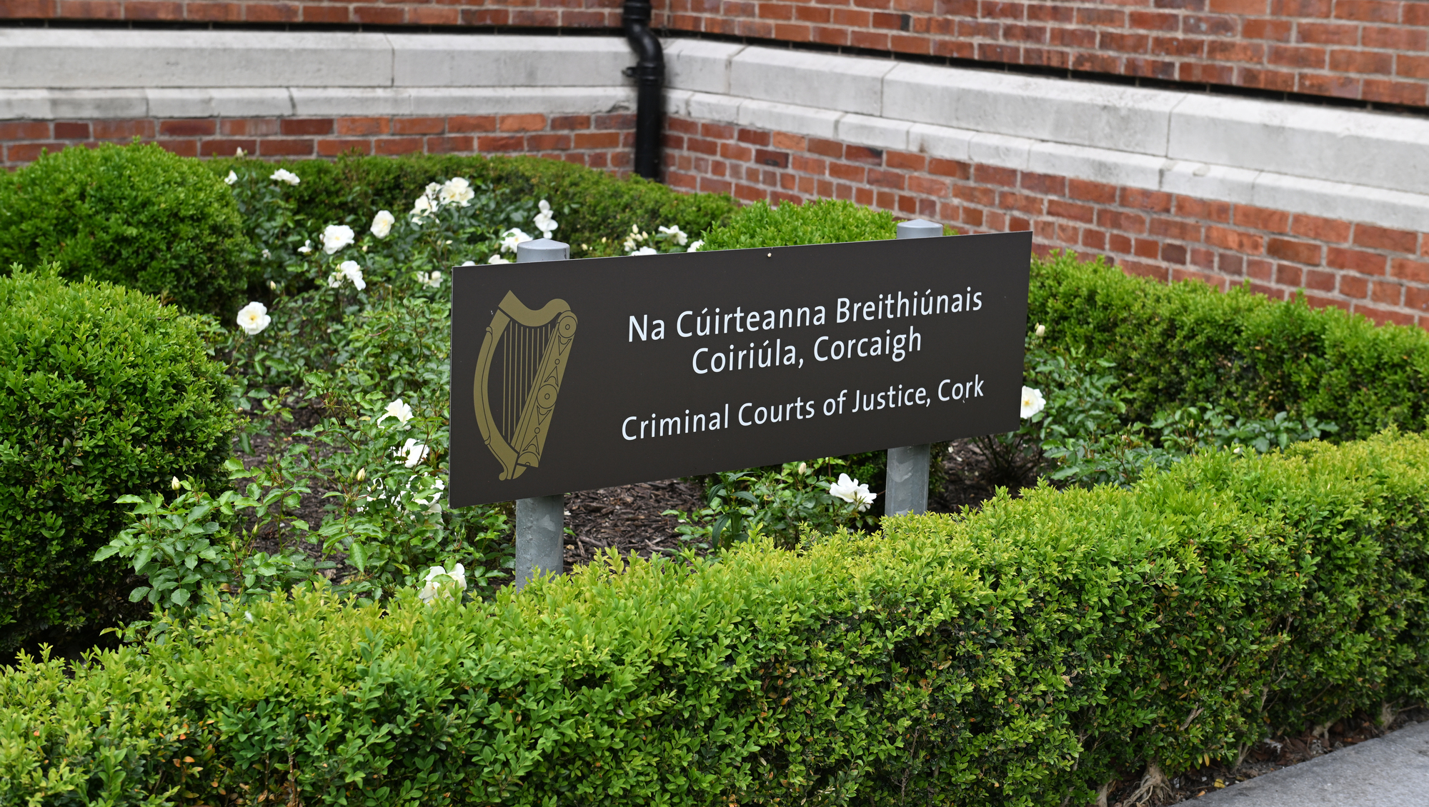 Man accused of ramming cars of ex-partner and her mother, causing €40,000 worth of damage