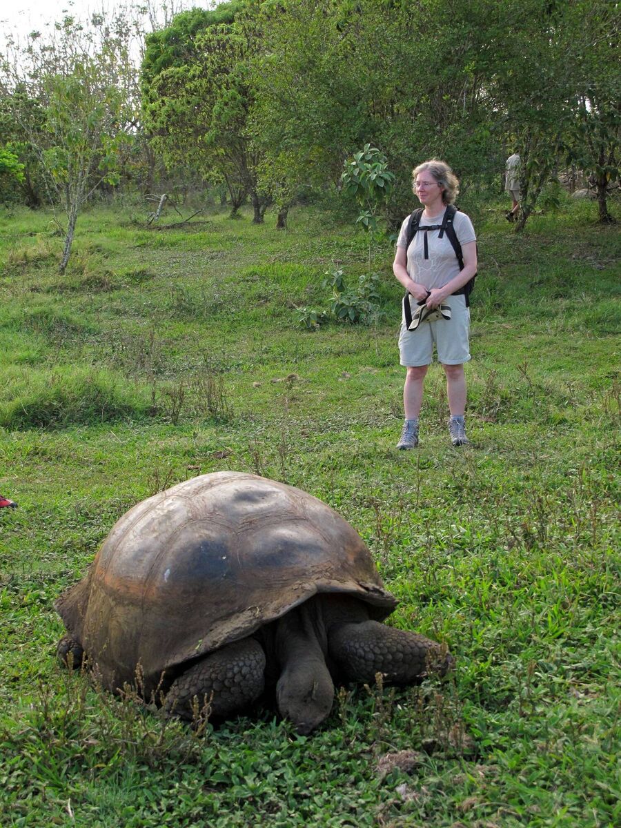 Mary Mulvihill looking at a giant tortoise in the Galapagos in 2011. Charles Darwin was Mary's hero. Mary Mulvihill looking at a giant tortoise in the Galapagos in 2011. Charles Darwin was Mary's hero.