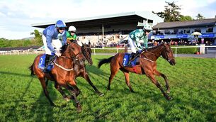 <p>Chanceawetmorning and Josh Williamson (green) win the the Clonmel Supporters Handicap Hurdle. Pic: Healy Racing</p>