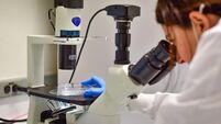 Beautiful woman examines cell culture under microscope
