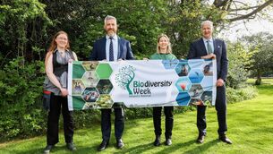 <p>From left: Catherine O’Toole, Irish Environmental Network; Biodiversity minister Christopher O’Sullivan; Karen Ciesielski, chief executive of the Irish Environmental Network; and Niall Ó Donnchu, director general of the National Parks and Wildlife Service.</p>