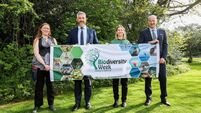 More than 100 free events in national parks and reserves for Biodiversity Week