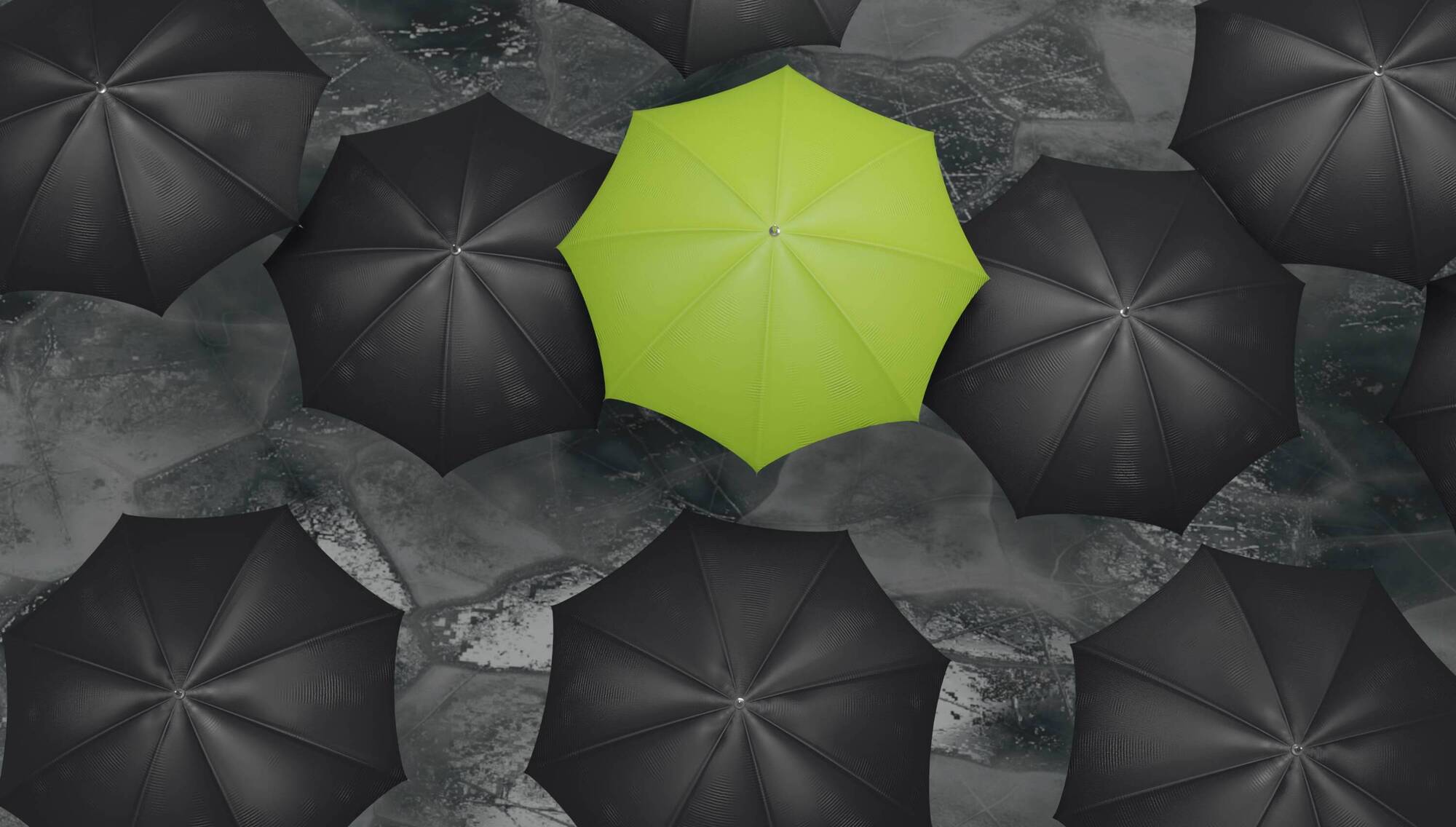 Workplace Wellbeing: How to find your footing when life changes