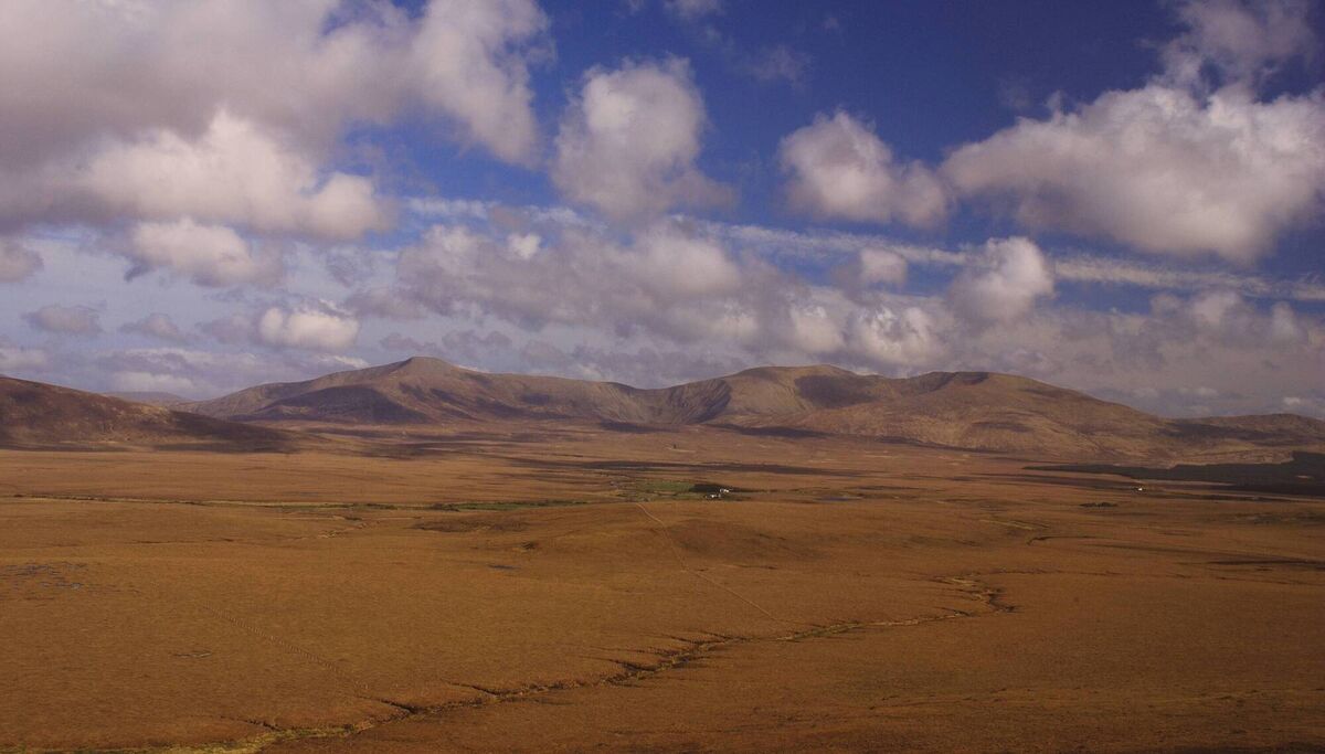 Wild Nephin National Park is hosting a native trees workshop, with talks about Ireland’s Birds of Prey and a nature treasure hunt for families during National Biodiversity Week. 