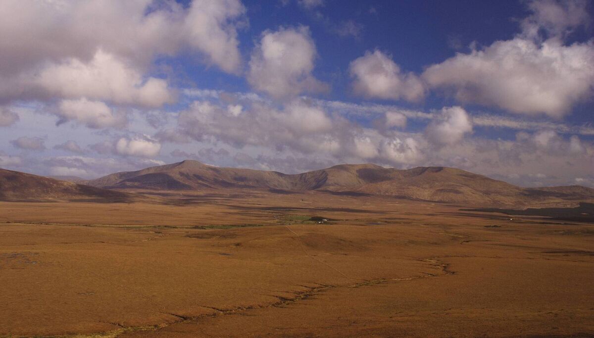 Wild Nephin National Park is hosting a native trees workshop, with talks about Ireland’s Birds of Prey and a nature treasure hunt for families during National Biodiversity Week. 
