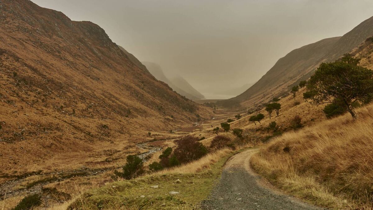 The hugely successful Biodiversity Week Festival, ‘Le Chéile don Dúlra’ is set to return to Glenveagh National Park in Donegal for a second year. 