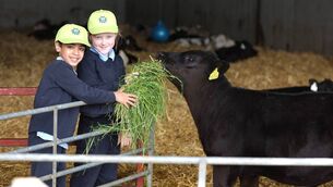 <p>Abeer Varshikar and Nella Boylan Grimes from Stanhope Street School in Stoneybatter, Dublin, take part in the National Dairy Council's school farm visits.</p>