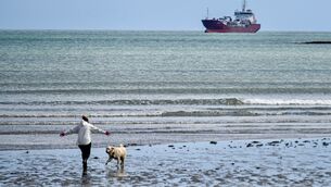 <p>One of Cork’s best-known beaches, Fountainstown Beach, has lost its Blue Flag accolade. Picture: Chani Anderson</p>