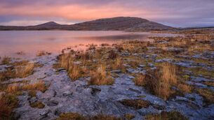 <p>Mullagh More, Burren National Park, The Burren, Co Clare. Discover the natural beauty of Ireland during National Biodiversity Week from 15th to 24th May.</p>