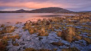 <p>Mullagh More, Burren National Park, The Burren, Co Clare. Discover the natural beauty of Ireland during National Biodiversity Week from 15th to 24th May.</p> <p>Mullagh More, Burren National Park, The Burren, Co Clare. Discover the natural beauty of Ireland during National Biodiversity Week from 15th to 24th May.</p>