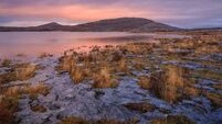 Step into nature during National Biodiversity Week