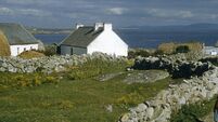 Farm girls herd geese along stony road near farm cottages
