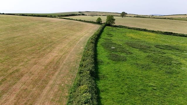 <p>If the Land Registry is satisfied a mistake has been made and the error can be corrected without causing loss to another registered owner, it has the power to rectify the register after giving notice to affected parties.</p>
