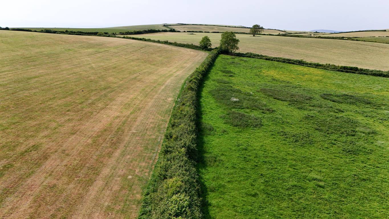 What happens when Land Registry maps and farm boundaries don’t match?