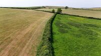 Farmland divided by hedgerow