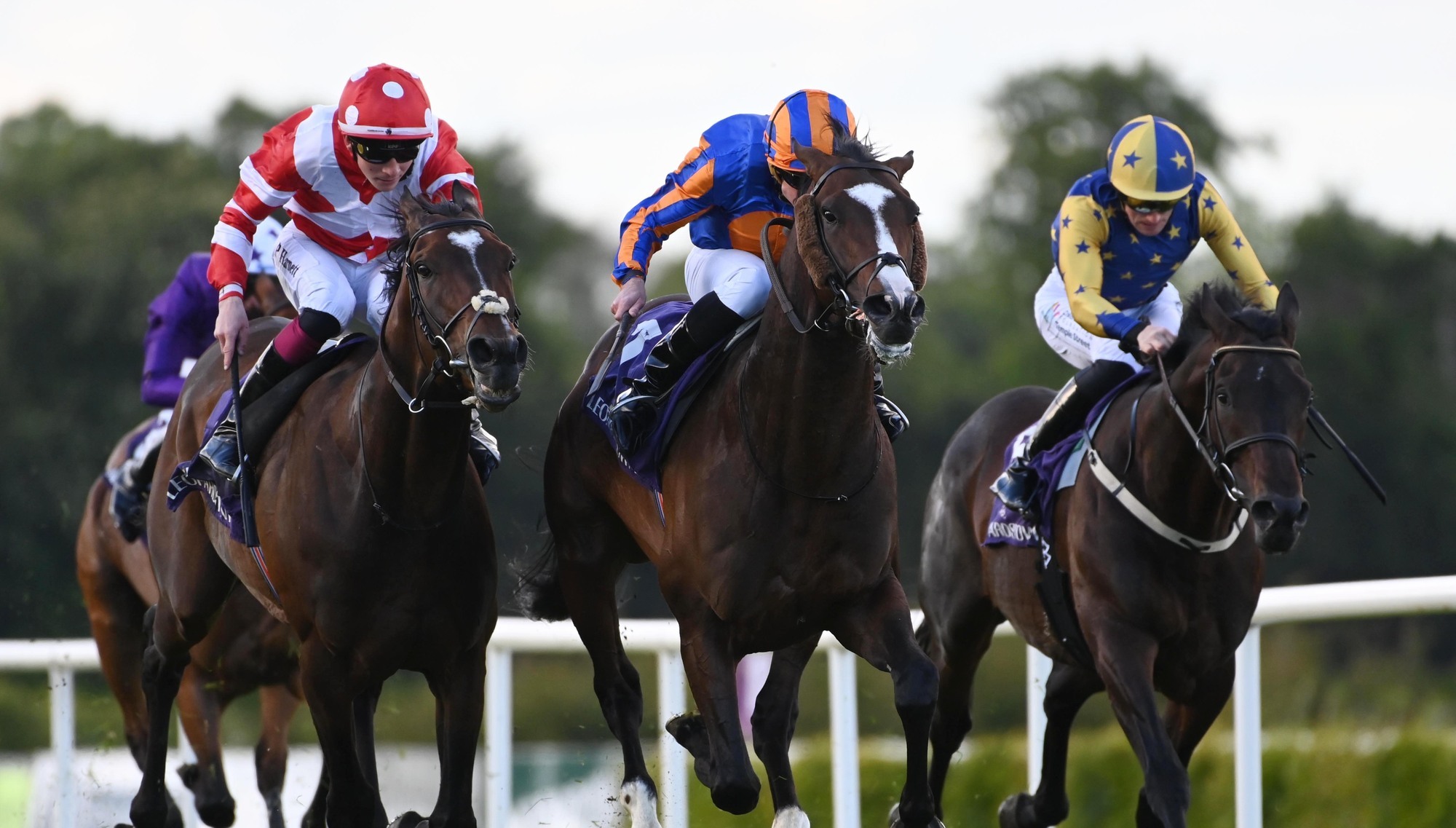 Aidan O’Brien delight as battling Scandinavia gets job done