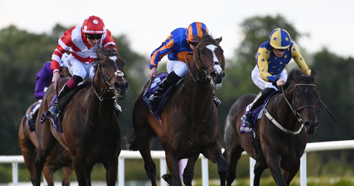 Aidan O’Brien delight as battling Scandinavia gets job done