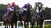 Triumph favourite Lounaos likely to head to Cheltenham without another run