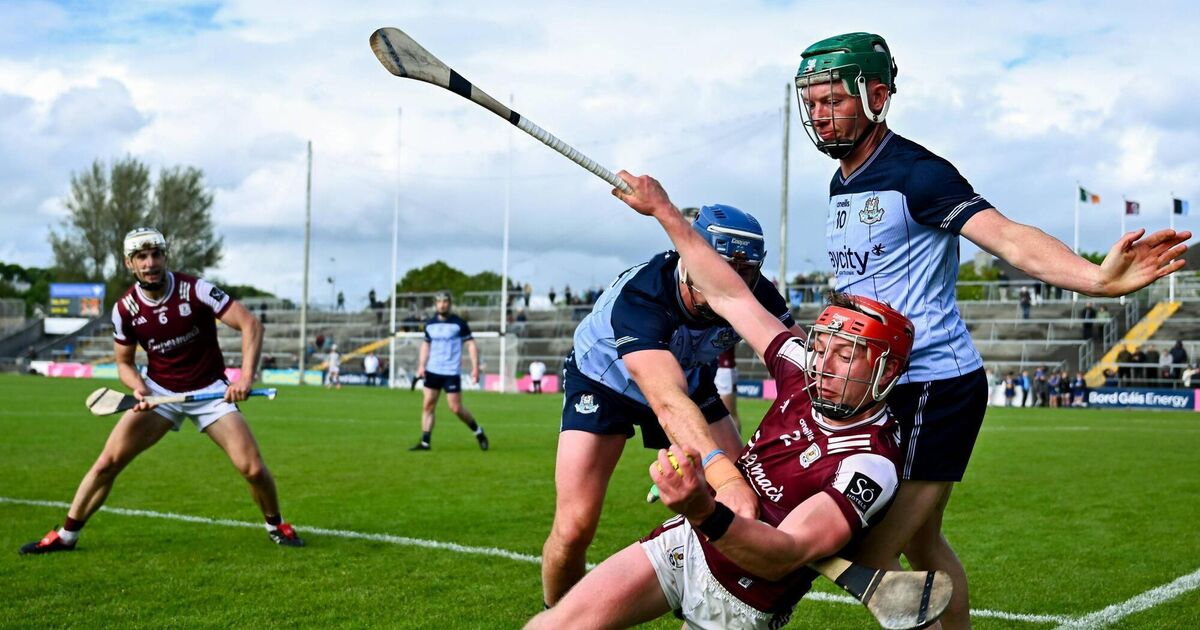 Sudden impact: Dublin manager Niall Ó Ceallacháin salutes bench boost of Hetherton and Hayes