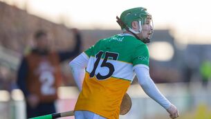 <p>MISSION ACCOMPLISHED: Offaly's Adam Screeney in action. Pic: ©INPHO/Tom O’Hanlon.</p> <p>MISSION ACCOMPLISHED: Offaly's Adam Screeney in action. Pic: ©INPHO/Tom O’Hanlon.</p>