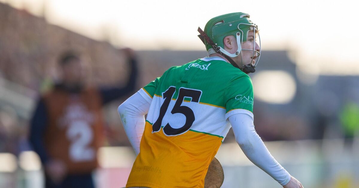 Offaly secure Leinster Senior Hurling status with win over Wexford