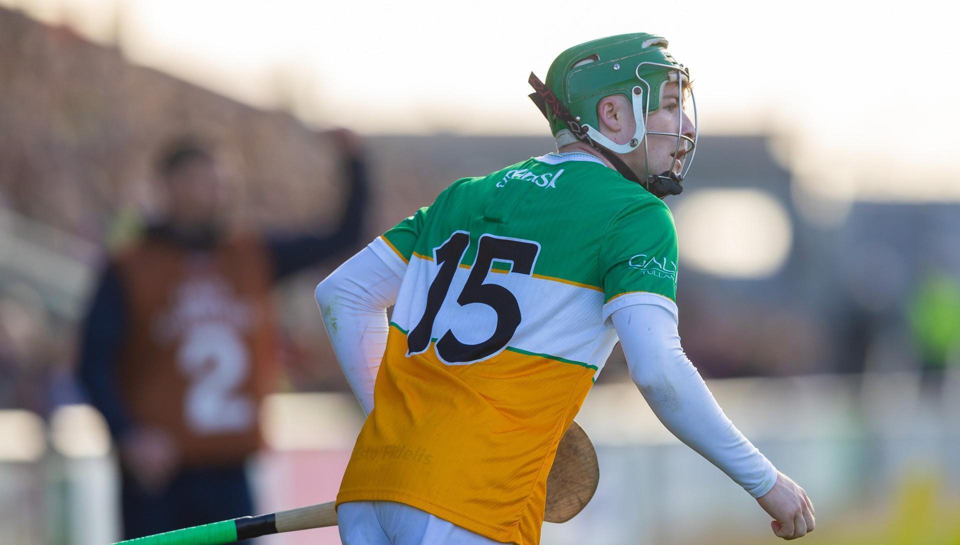 Offaly secure Leinster Senior Hurling status with win over Wexford