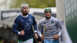 <p>Waterford are seeking their first championship victory over Limerick since the 2011 Munster SHC semi-final. Pic: Piaras Ó Mídheach/Sportsfile</p>