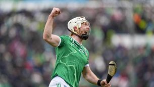 <p>DIFFERENCE MAKER: Limerick's Cian Lynch celebrates a score. Pic: ©INPHO/James Lawlor.</p>