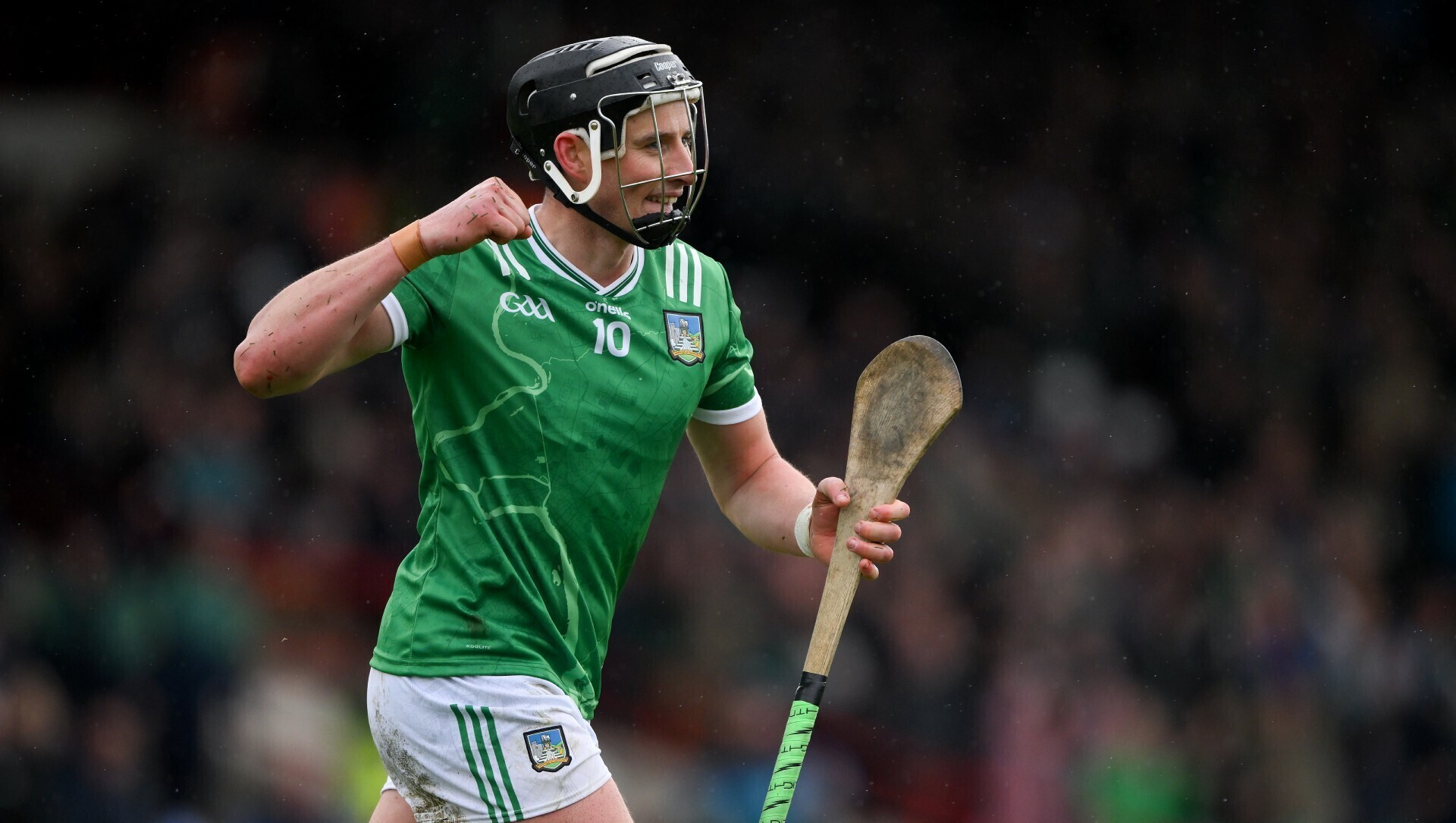 Player ratings: Hegarty and O'Donoghue power Limerick past Waterford