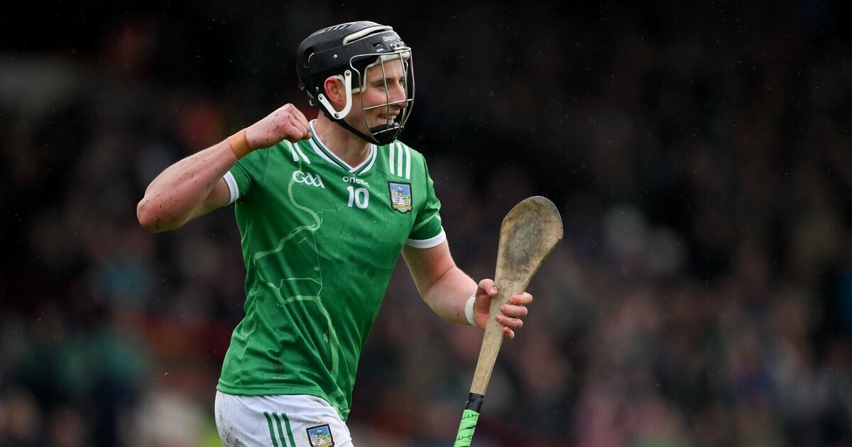 Player ratings: Hegarty and O'Donoghue power Limerick past Waterford