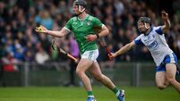 Limerick v Waterford - Munster GAA Senior Hurling Championship Round 4
