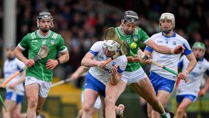 <p>Limerick can turn a game on its head in the blink of an eye, just like they did on Sunday against Waterford. Pic: Brendan Moran/Sportsfile</p>