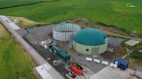 Livestock leading cause of farm injury claims, new report shows