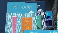 Sweet success as 25 jobs saved at Skelligs Chocolate