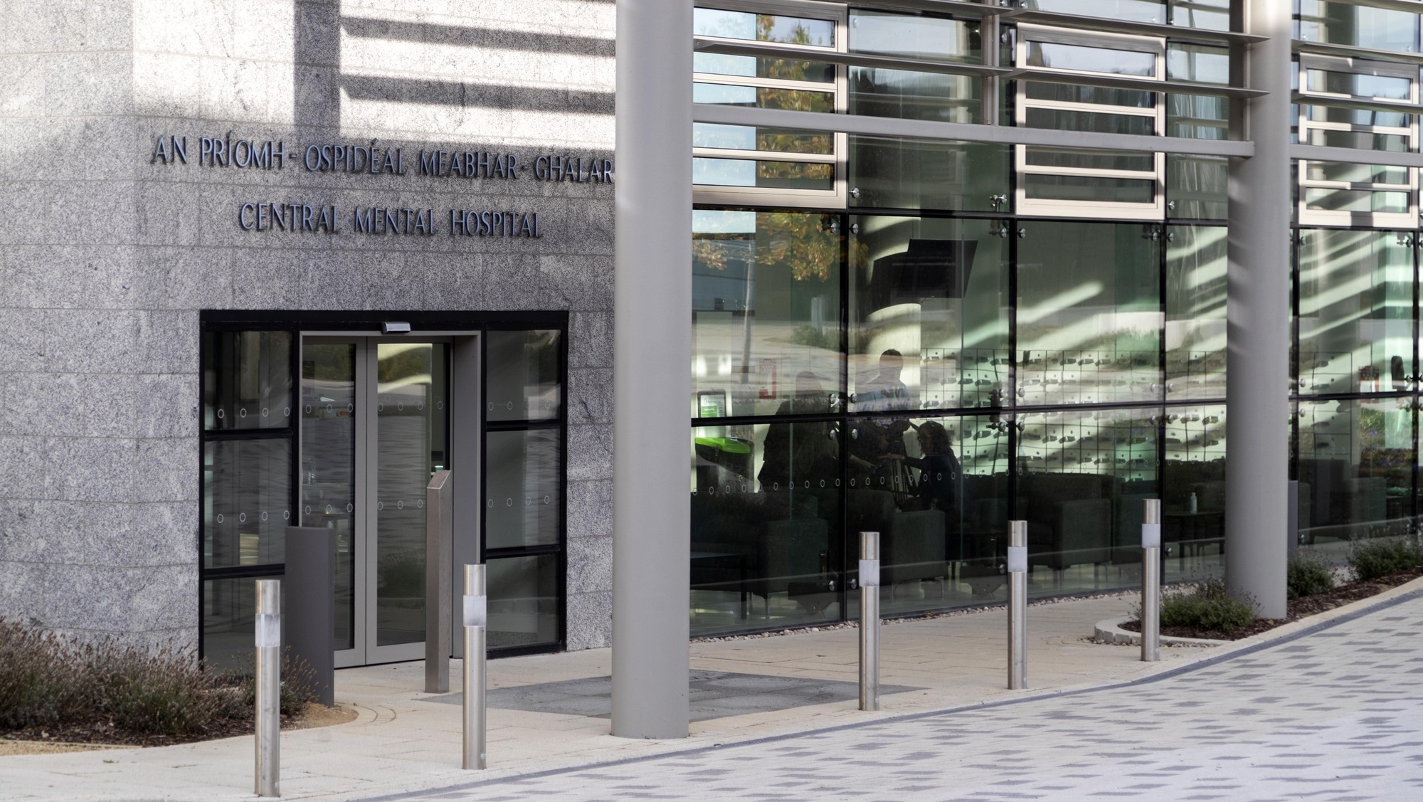 Man's killing of his grandmother sums up 'crisis in Ireland's mental health services', court told