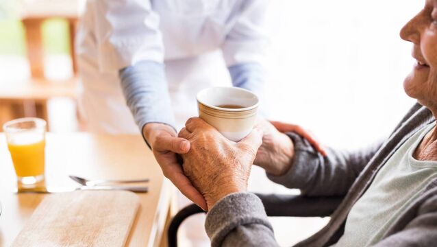 <p>Lead author of the ESRI report, Dr Aoife Brick, said the 'biggest growth requirements' are among staff working with older people. File picture</p>
