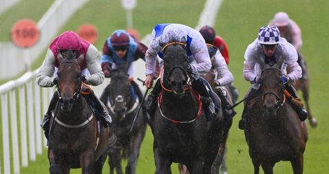 Arizona Raider keeps Royal Ascot dream alive with Roscommon win Arizona Raider keeps Royal Ascot dream alive with Roscommon win