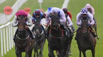 Arizona Raider keeps Royal Ascot dream alive with Roscommon win