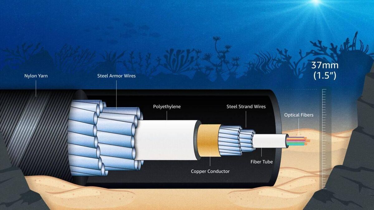 The Amazon Fastnet Cable is reinforced to "protect against natural and human activity", the company said. The Amazon Fastnet Cable is reinforced to "protect against natural and human activity", the company said.