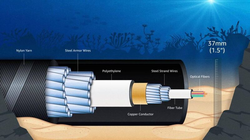 The Amazon Fastnet Cable is reinforced to "protect against natural and human activity", the company said. The Amazon Fastnet Cable is reinforced to "protect against natural and human activity", the company said.