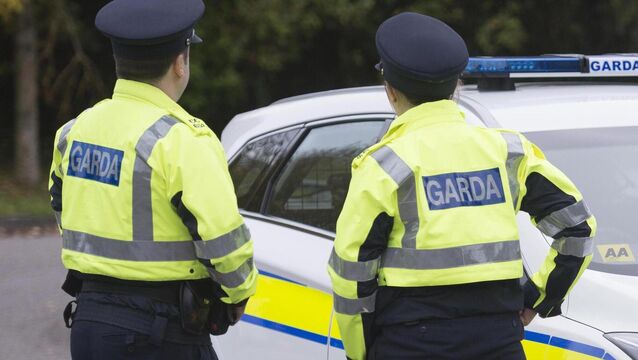 <p>The two teenagers are both detained in a West Dublin Garda Station. Picture: Dan Linehan.</p>