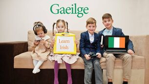 <p>Foras na Gaeilge said study finding that half of respondents said they had little to no ability in Irish 'reflects an urgent need to improve the learning outcomes for Irish in our schools'.</p> <p>Foras na Gaeilge said study finding that half of respondents said they had little to no ability in Irish 'reflects an urgent need to improve the learning outcomes for Irish in our schools'.</p>